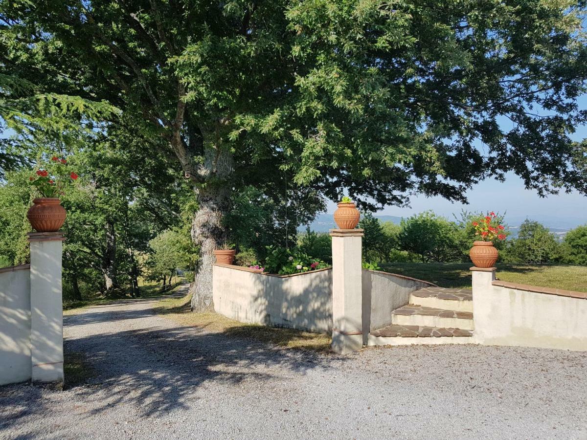 Agriturismo Le Casaline Seggiano Exterior foto