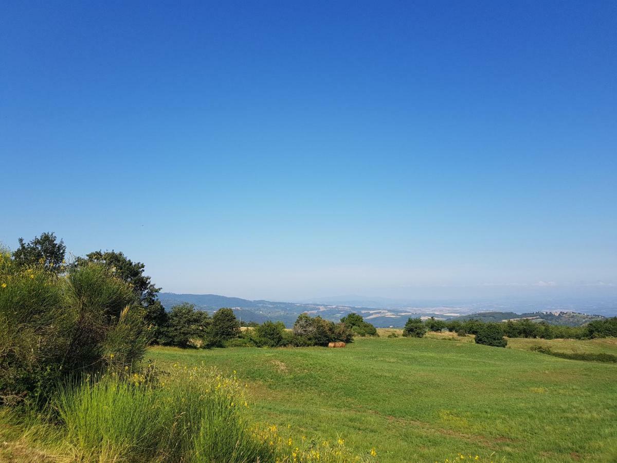 Agriturismo Le Casaline Seggiano Exterior foto